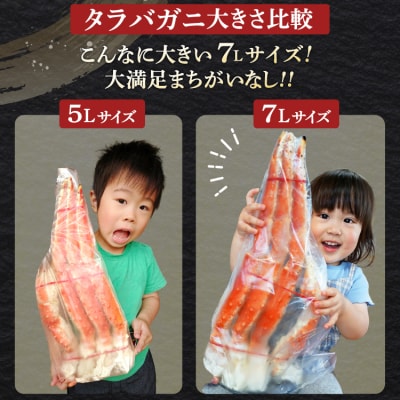 かに 本 タラバガニ 脚 ボイル済 約1.5kg 極太7Lサイズ [20564326]