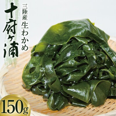 生わかめ 三陸産 十府ヶ浦 150g わかめ 海藻 [マルニシ 20564316]