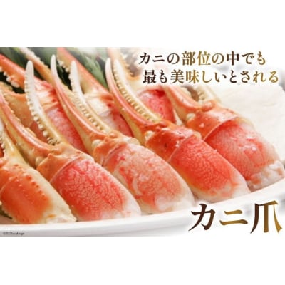年内配送 かに リピーター続出! 本ずわいがに爪 約700g 20564321