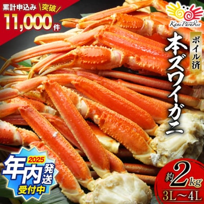 【12/25まで年内発送】 かに 本ずわいがに 脚 3L～4L 総重量 2kg [20564764]