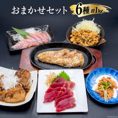 まぐろ 【漁師食堂シリーズ】おまかせセット 6種類 合計1kg [羽根 20563774]