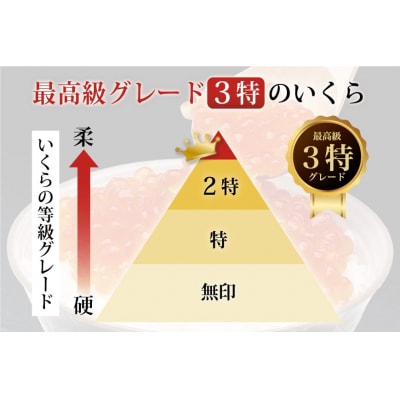 【TVで紹介!】最高級3特 国産 味付 いくら 宝壽 醤油漬 120g×3 20565082 ◎