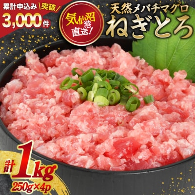 ネギトロ 気仙沼港直送 1kg (250g×4p) 畠和水産 20563348 ◎