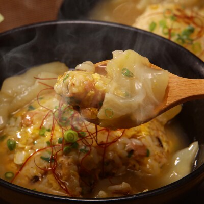 訳あり ふかひれ屋が本気でつくったゴロゴロふかひれ煮込み 150g×5個 20564140