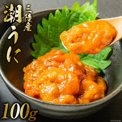 三陸産 潮うに 100g [大菊 宮城県 気仙沼市 20563727]