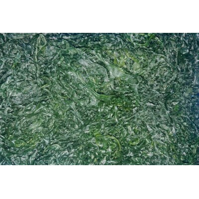 【外抜一等品】 三陸産 特撰若布 400g [大菊 宮城県 気仙沼市 20563741]