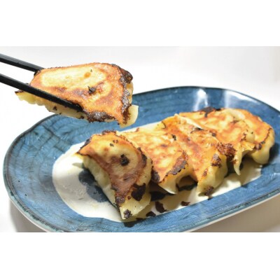 餃子 手づくり 特製餃子(20個入りx2p) [食工房貞秀 宮城県 気仙沼市 20563773]
