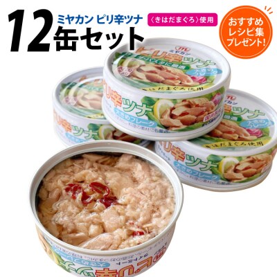 缶詰 ピリ辛ツナ 75g ×12缶 20565673