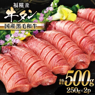 牛タン 国産黒毛和牛 「福糀丑(ふっこううし)」計500g(250g×2p) [20563831]