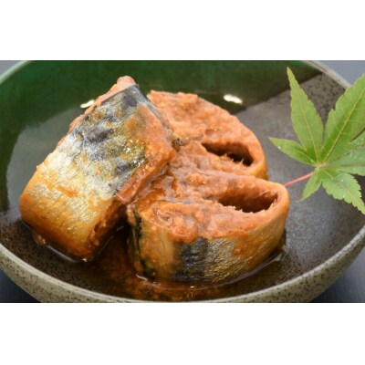 ＜定期便＞ さば味噌煮 総計72缶(175g×24缶)×3回 隔月 さば缶 20564485