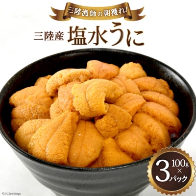 【期間限定発送】三陸産塩水うに 100g×3パック [村東商店 20564260]