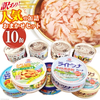 訳あり お任せ 缶詰 人気10缶セット [ミヤカン 宮城県 気仙沼市 20563805]