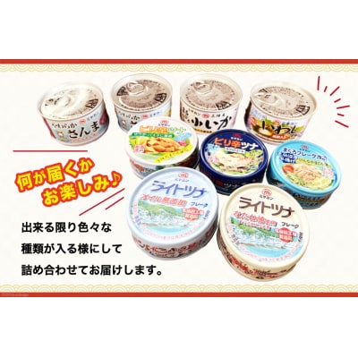 訳あり お任せ 缶詰 人気10缶セット ミヤカン 宮城県 気仙沼市 20563805