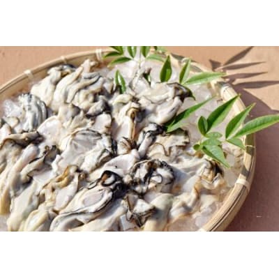 むき身 地秀かき 生食用 500g ×2袋 [かみたいら 20564232]