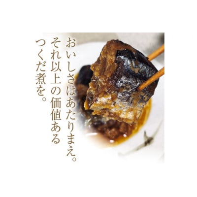 手造り 無添加 さんまつくだ煮 みそ味 & しょうゆ味 各1p 計2p [20565822]