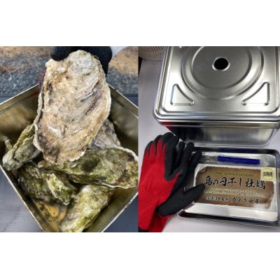 島の日干し牡蠣 (10～12個) カンカン焼きセット 加熱用牡蠣 / カネキ水産