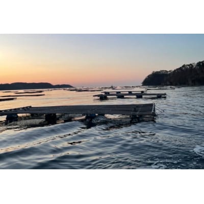 島の日干し牡蠣 (10～12個) カンカン焼きセット 加熱用牡蠣 / カネキ水産