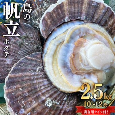 【期間限定発送】島の帆立 2.5kg (10~12枚) ホタテ剥き用ナイフ付 20564054