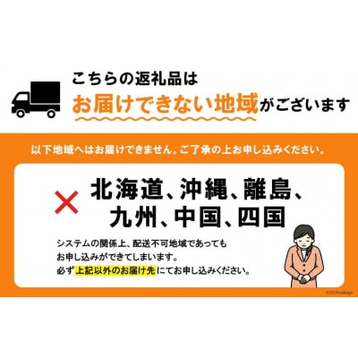 【期間限定発送】島の帆立 2.5kg (10~12枚) ホタテ剥き用ナイフ付 20564054