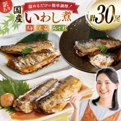 訳あり 業務用 いわし煮魚 3種×10尾 計30尾入 約1.5kg 簡易包装 20565562