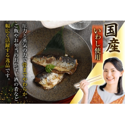 訳あり 業務用 いわし煮魚 3種×10尾 計30尾入 約1.5kg 簡易包装 20565562