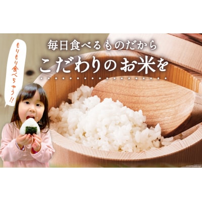 米 宮城県産 ひとめぼれ 5kg 20565762