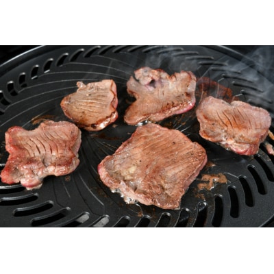 厚切り牛タン 塩味 500g 亀山精肉店 20565156