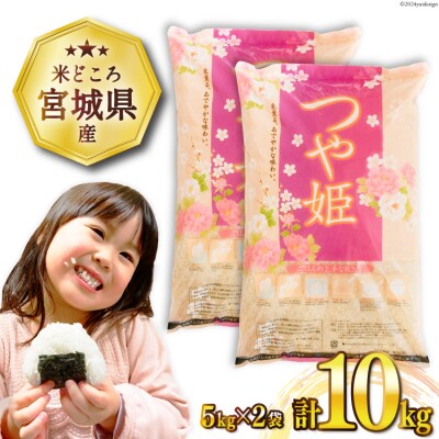 米 宮城県産 つや姫 10kg (5kg×2袋) 20564676