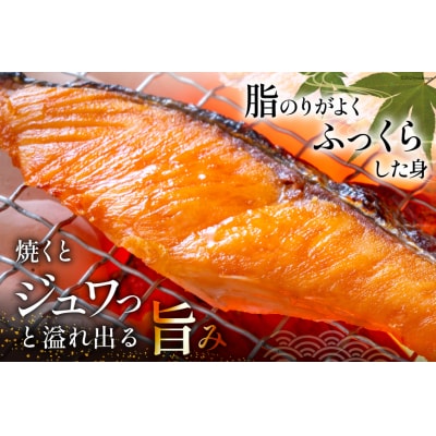 定期便 《3ヶ月連続お届け》 訳あり 銀鮭 切身 約2kg×3回 計6kg [20564481]