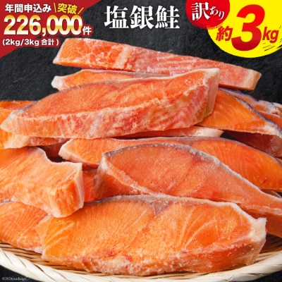訳あり 銀鮭 切身 約3kg [宮城東洋 宮城県 気仙沼市 20564992 訳あり 銀鮭 切身 約3kg [宮城東洋 宮城県 気仙沼市 20564992