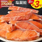 訳あり 銀鮭 切身 約3kg [宮城東洋 宮城県 気仙沼市 20564992]