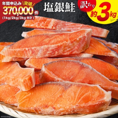 訳あり 銀鮭 切身 約3kg [宮城東洋 宮城県 気仙沼市 20564992]