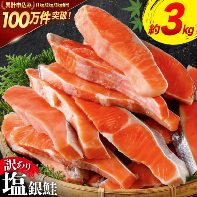 訳あり 鮭 切身 約3kg [宮城東洋 宮城県 気仙沼市 20564992] サーモン