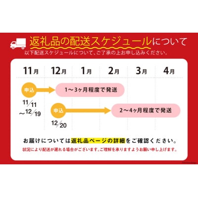 訳あり 銀鮭 切身 約3kg [宮城東洋 宮城県 気仙沼市 20564992]