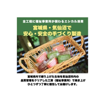 訳あり KGGプロテインバー ランダム50個入 セット [20563898]