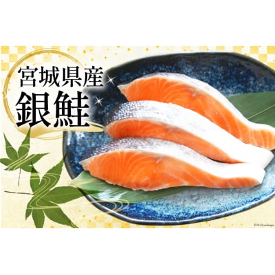 訳あり 宮城県産 熟成 銀鮭 切身 約2kg 宮城東洋 宮城県 気仙沼市 20563343