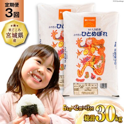 3回 定期便 米 ひとめぼれ 10kg (5kg×2袋) 計30kg [20564688] 