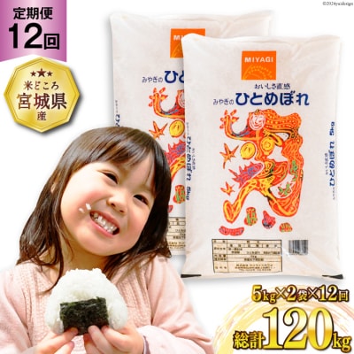 12回 定期便 米 ひとめぼれ 10kg (5kg×2袋) 計120kg 20564690 
