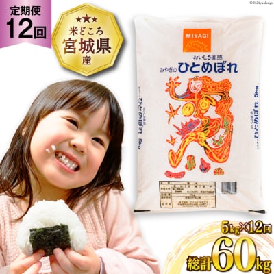 12回 定期便 米 ひとめぼれ 5kg 計60kg [20564687] 