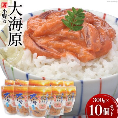 海の恵みをじっくり仕込んだ塩辛 大海原 300g 10個セット [小野万 20565161]