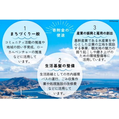 気仙沼市への応援寄付(返礼品はございません) / 宮城県 気仙沼市 [20561928]