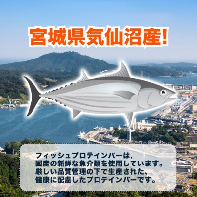 3回 定期便 KGGフィッシュプロテインバー 計18食 (6食×3回) / 20565841