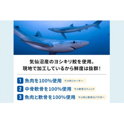 UMINO PET サメ肉ジャーキー 40g×3個 [石渡商店 20563953]