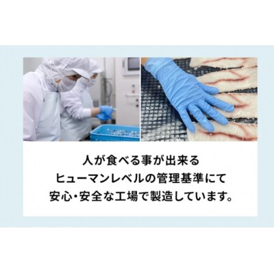 UMINO PET サメ肉ジャーキー 40g×5個 [石渡商店 20563954]