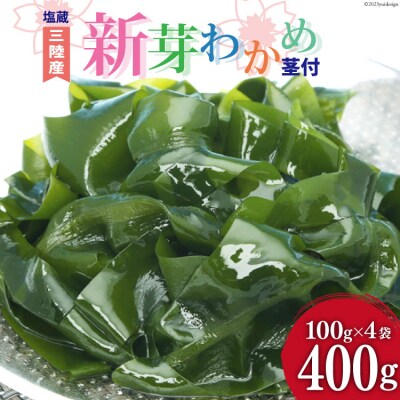 【漁師さんからのおすそわけ】新芽わかめ 400g(約100g×4袋) [20561994] | ふるさと納税のお礼品