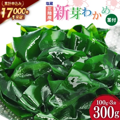 【漁師さんからのおすそわけ】新芽わかめ 300g(約100g×3袋) [20564375]
