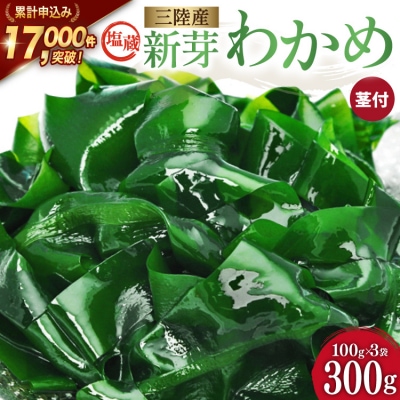 新芽 わかめ【漁師さんからのおすそわけ】300g(約100g×3袋) [20564375]海藻