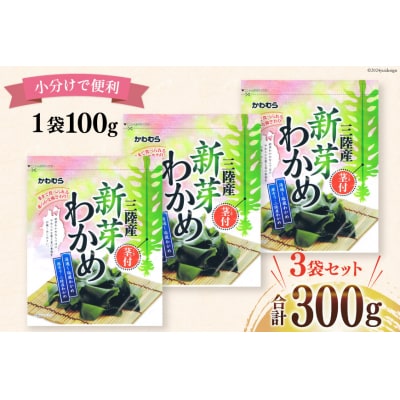【漁師さんからのおすそわけ】新芽わかめ 300g(約100g×3袋) [20564375]