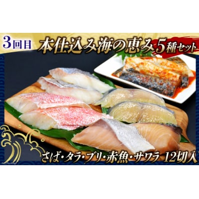 フカヒレ入! 贅沢海鮮定期便 《3ヶ月毎月お届け》 カニ いくら 漬魚 [20562813]