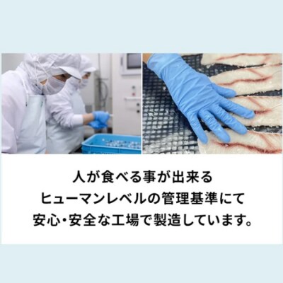 UMINO PET サメ軟骨スティック 40g×3個 [石渡商店 20563959]